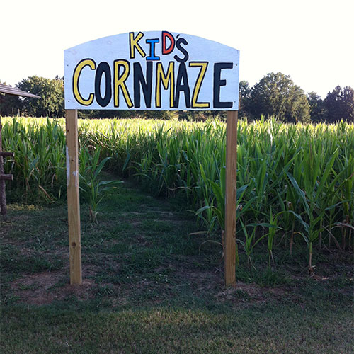 The Kids Corn Maze and Big Corn Maze at Bull Bottom Farms in Duck Hill, Mississippi.